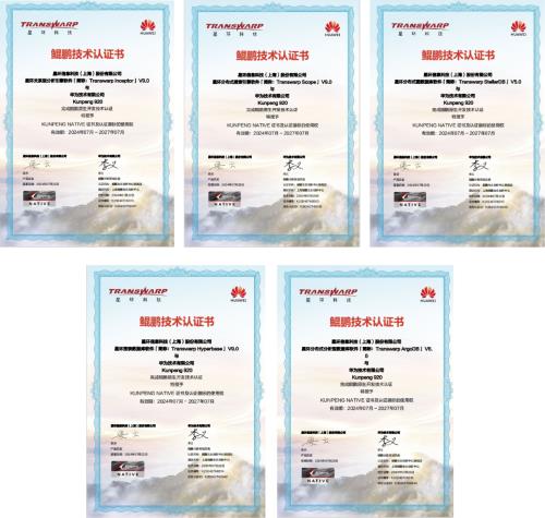 星環科技基于鯤鵬原生開發 賦能企業高效數據處理與軟件開發